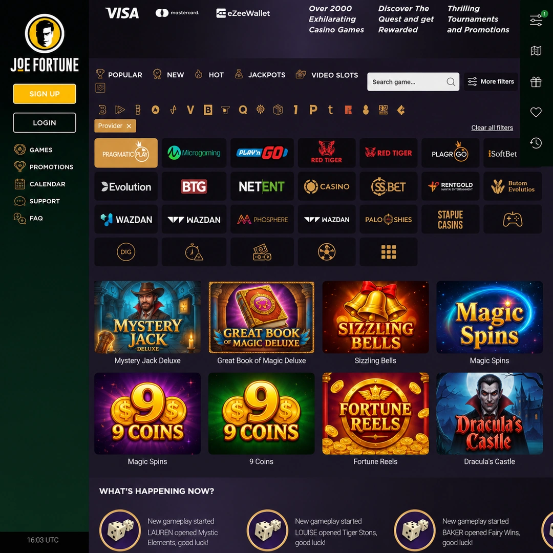 Joe Fortune pokies lobby with the provider filter open.